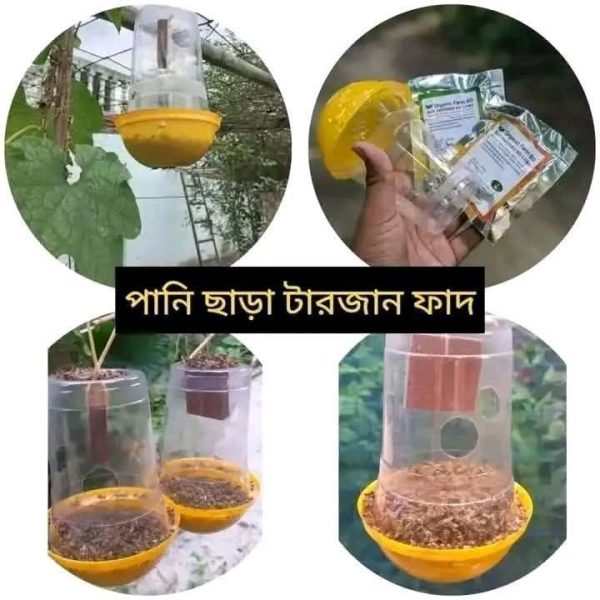 টারজান ফেরোমন ফাঁদ - Image 5
