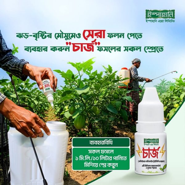 চার্জ (Charge)