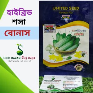 ইউনাইটেড সীড কোম্পানির হাইব্রিড শসা বীজ -বোনাস Bonus Cucumber Seed