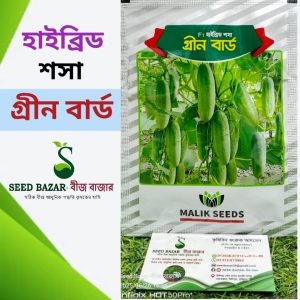 মালিক সীড কোম্পানির হাইব্রিড শসা বীজ "গ্রীন বার্ড" Green Bird Cucumber Seed