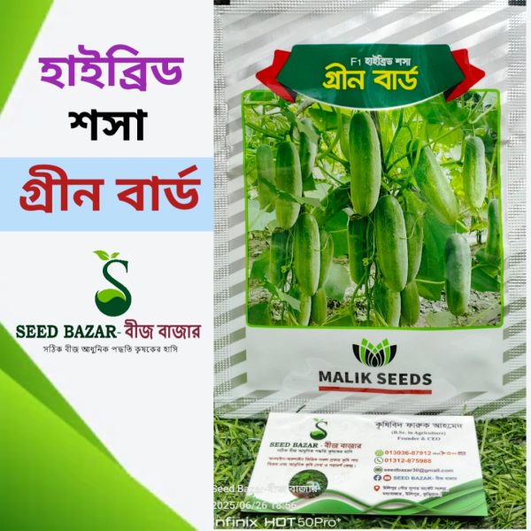 মালিক সীড কোম্পানির হাইব্রিড শসা বীজ "গ্রীন বার্ড" Green Bird Cucumber Seed