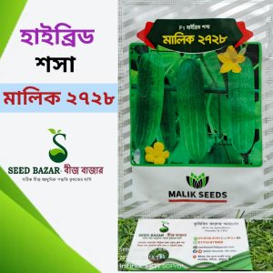 হাইব্রিড শসার জাত-মালিক ২৭২৭ Malik 2728 Cucumber Seed