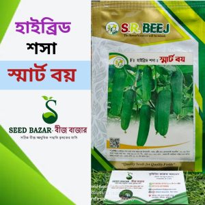 স্মার্ট বয় শসা বীজ Smart Boy Cucumber Seed