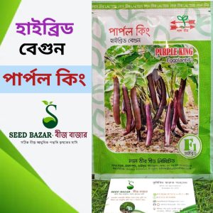 লাল তীর হাইব্রিড বেগুন-"পার্পল কিং" Purple King Brinjal