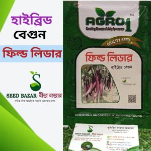 এগ্রো-১ হাইব্রিড লম্বা বেগুন বীজ -"ফিল্ড লিডার"  Field Leader Brinjal Seed