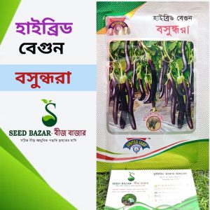 ইউনাইটেড সীড হাইব্রিড লম্বা বেগুন বীজ -"বসুন্ধরা" Boshundhora Brinjal Seed (৫ গ্রাম প্যাকেট)