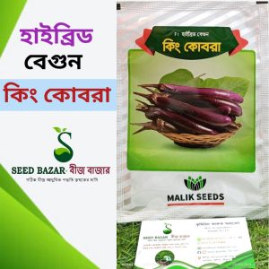মালিক সীড হাইব্রিড লম্বা বেগুন বীজ -"কিং কোবরা" King Kobra Brinjal Seed (৫ গ্রাম প্যাকেট)