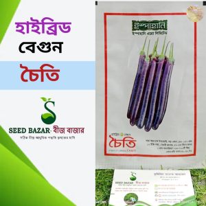 ইস্পাহানি হাইব্রিড লম্বা বেগুন বীজ -"চৈতি" Choity Brinjal Seed (মিনি প্যাকেট)