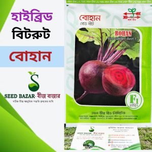 লাল তীর হাইব্রিড বিটরুট -"বোহান" Bohan Beet Root