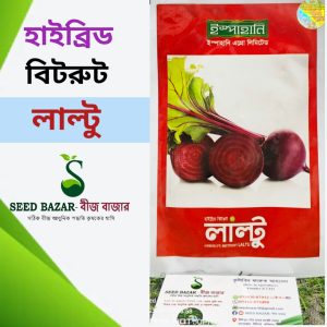 ইস্পাহানি কোম্পানির হাইব্রিড বিটরুট -লাল্টু Laltu Beet Root