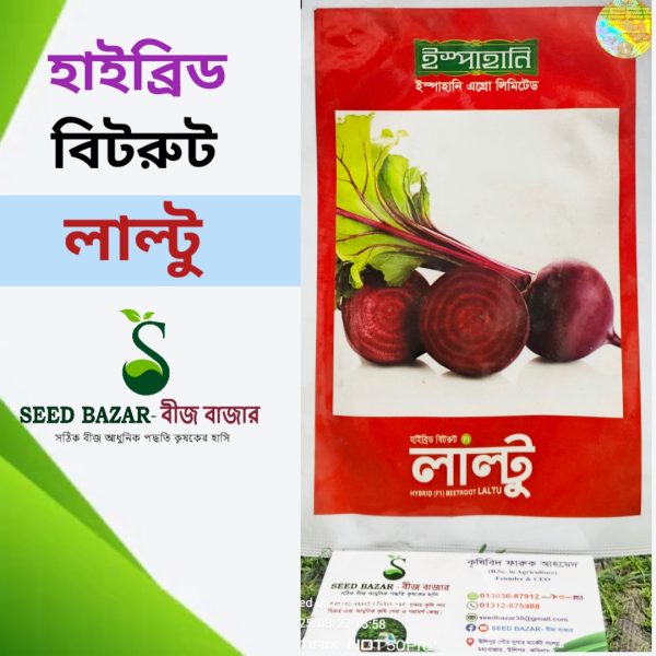 ইস্পাহানি কোম্পানির হাইব্রিড বিটরুট -লাল্টু Laltu Beet Root